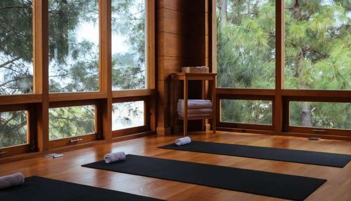 Dhensa Resort Punakha Tiện nghi bức ảnh